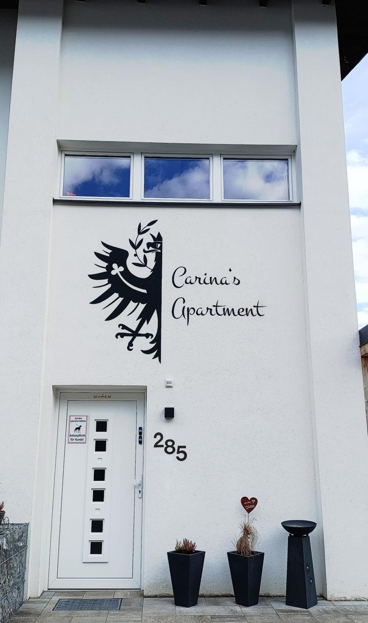 Carina'S Apartment Obsteig Luaran gambar